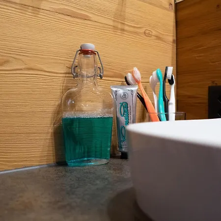 Fruemsel - Luxury & Bergblick Chalet Wildhaus